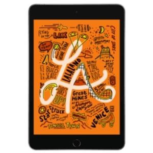 iPad mini 5 (WiFi + Cellular)